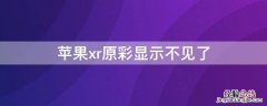 iPhonexr原彩显示不见了