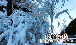 梦到白雪满地是啥意思 梦到白雪满地的寓意