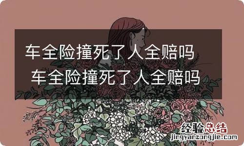 车全险撞死了人全赔吗 车全险撞死了人全赔吗平安保险