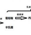 牛奶为什么会发酵变成酸奶