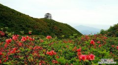 浏阳有哪些景点