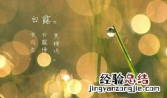 白露节气的特点是什么 白露节气的特点是什么图片