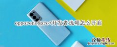 opporeno6pro+开发者选项怎么开启