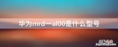 华为mrd一al00是什么型号 华为mrd al00什么型号