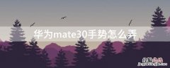 mate30手势操作 华为mate30手势怎么弄