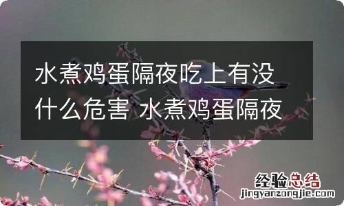 水煮鸡蛋隔夜吃上有没什么危害 水煮鸡蛋隔夜吃好吗