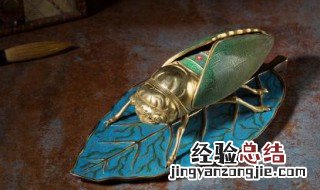 蝉对人类有益吗 蝉对人有害吗