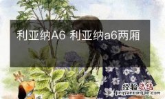 利亚纳A6 利亚纳a6两厢