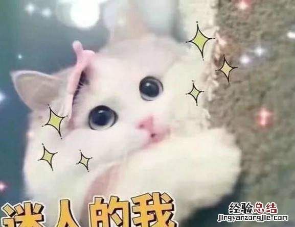 求一些撩人的土味情话呀