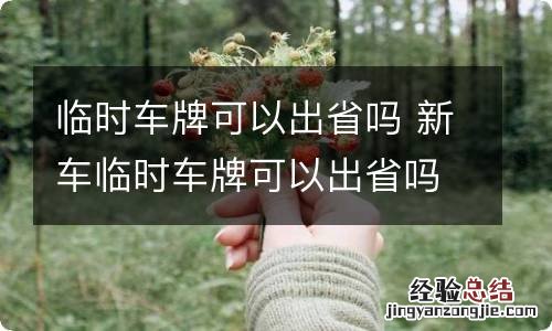 临时车牌可以出省吗 新车临时车牌可以出省吗