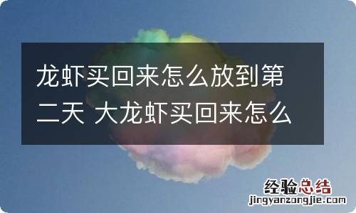 龙虾买回来怎么放到第二天 大龙虾买回来怎么放到第二天