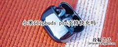 小米flipbuds pro支持快充吗