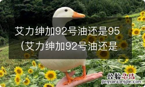 艾力绅加92号油还是95比较好? 艾力绅加92号油还是95