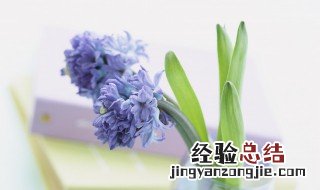 充满希望的句子 充满希望的句子经典语录