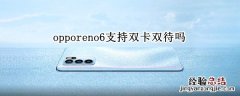 opporeno6支持双卡双待吗