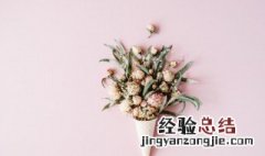 花干是什么做的 花干如何制作