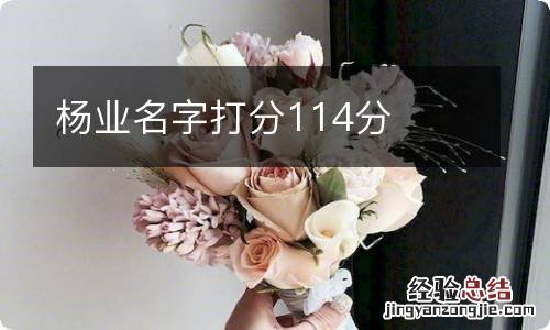 杨业名字打分114分