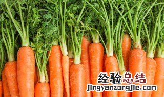 低脂饮食包括哪些 低脂饮食