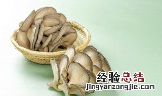 平菇上面的白霜是什么 平菇上面的白霜是什么东西