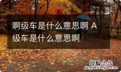 啊级车是什么意思啊 A级车是什么意思啊