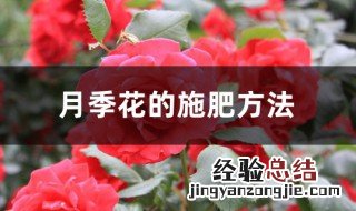 月季施肥方法 月季施肥的正确方法和注意事项