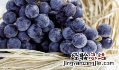 葡萄10月份可以剪枝吗 葡萄树十月份可以剪枝吗