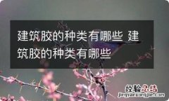 建筑胶的种类有哪些 建筑胶的种类有哪些