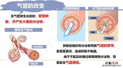 可逆反应与不可逆反应有哪些区别