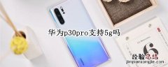 华为p30pro支持5g吗