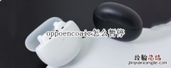 oppoencoair怎么暂停