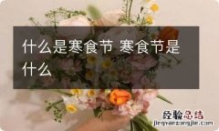 什么是寒食节 寒食节是什么