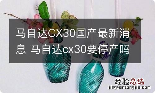 马自达CX30国产最新消息 马自达cx30要停产吗