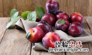 西梅和李子一样吗 西梅和李子有区别吗