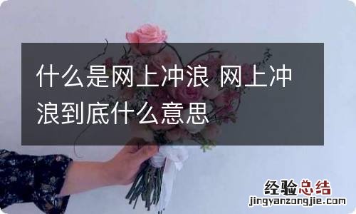 什么是网上冲浪 网上冲浪到底什么意思