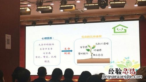 生态系统的营养结构是什么