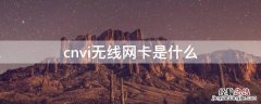 cnvi无线网卡是什么