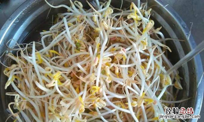 营养美味腊肠炒豆芽怎么做