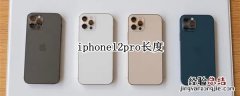 iphone12pro长度