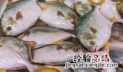 金线鱼是深海鱼吗 金昌鱼是深海鱼还是浅海鱼