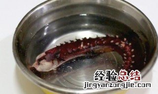 章鱼足开水下锅还是冷水 章鱼足开水下锅还是冷水下锅好吃