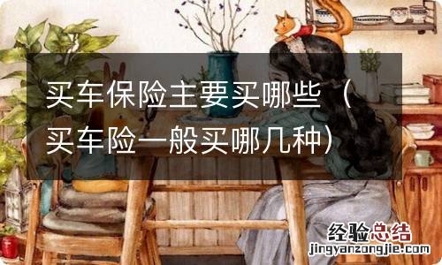 买车险一般买哪几种 买车保险主要买哪些