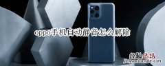 oppo手机自动静音怎么解除