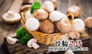 胃癌吃什么食物可以提高免疫力 什么食物可以提高免疫力