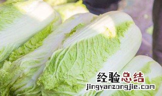 白菜是感光食物吗 白菜是感光食物吗为什么