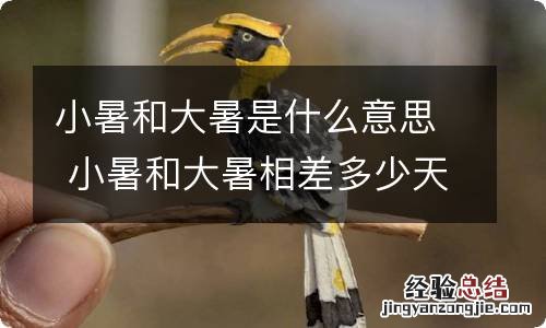 小暑和大暑是什么意思 小暑和大暑相差多少天