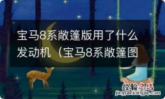 宝马8系敞篷图片 宝马8系敞篷版用了什么发动机