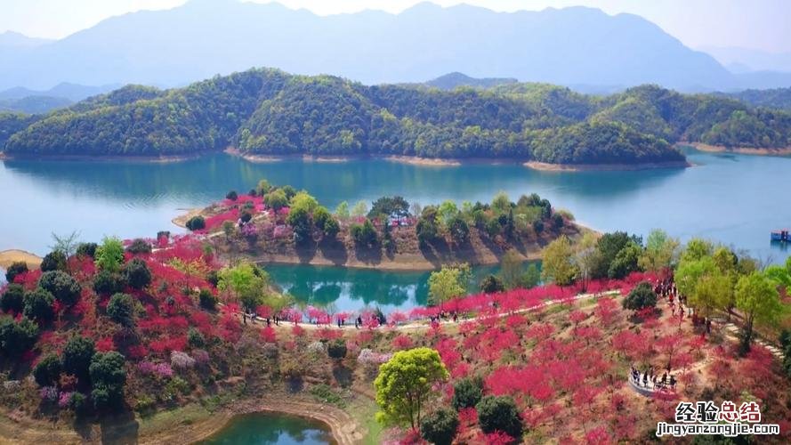 武宁县有哪些景点