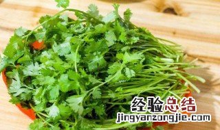 香菜保存方法 香菜怎么保存