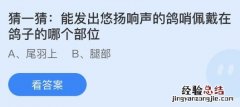 今日蚂蚁庄园小鸡课堂正确答案最新：鸽哨佩戴在鸽子的哪个部位？玉兰片是什么东西做的？