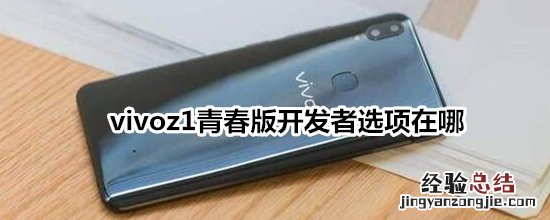 vivoz1青春版开发者选项在哪